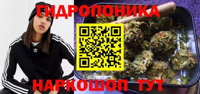a pvp Ирбит