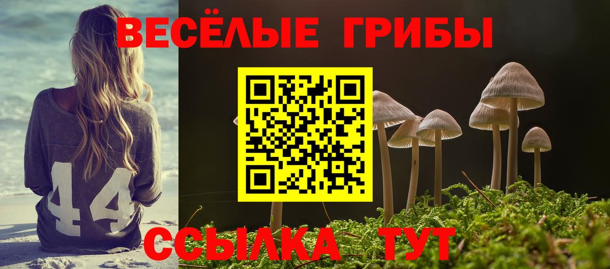 Лосино-Петровский  Псилоцибиновые грибы Magic Shrooms  Вход с VPN 